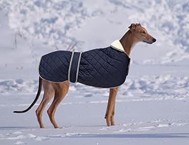 Warm Thermal Quilted Greyhound Coat with Harness Hole, Dog Winter Coat with Warm Fleece Lining, Outdoor Dog Apparel for Medium, Large Dog -Blue-XS - Image 2