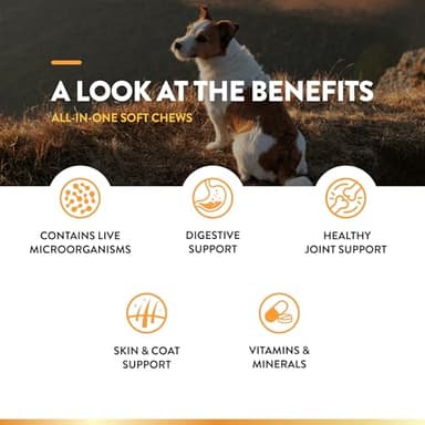 NaturVet All-in-One Dog Supplement - for Joint Support, Digestion, Skin, Coat Care – Dog Multivitamins with Minerals, Omega-3, 6, 9 – Wheat-Free Vitamins for Dogs – 240 Soft Chews - Image 5