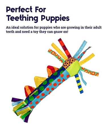 Petstages Cool Teething Stick for Dogs - Soothing Chew Toy for Teething Puppies - Freezable for Added Relief - Durable & Safe Dental Aid, Multicolor, One-Size - Image 2