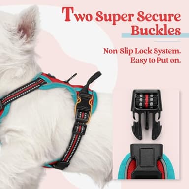 rabbitgoo Dog Harness No Pull with 2 Leash Clips, Adjustable Soft Padded, Reflective Oxford No Choke Pet Vest with Easy Control Handle for Puppy, Red & Teal, XS - Image 3