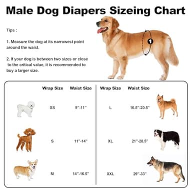 Washable Male Dog Diapers Reusable, Premium Dog Belly Bands for Male Dogs Medium, Pack of 3, High Absorbing Male Dog Pee Wraps for Doggie in Incontinence or Excitable Urination and Training(M) - Image 3