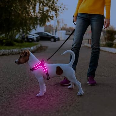 Light Up Dog Harness Rechargeable No Pull Rainproof Dog Vest with Handle for Night Walking, Lighted Dog Harness for Small Medium Large Dogs (Pink, M) - Image 5