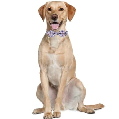 American Flag Dog Collar with Removable Cute Bow Tie Adjustable Patriotic 4th of July Pet Collars Independence Day Small - Image 5