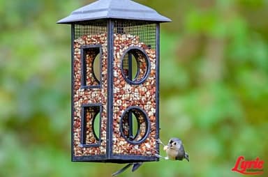 LEBANON SEABOARD SEED 26-47407 Delite Bird Food, 20 lb - Image 9