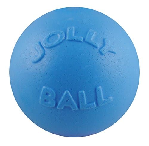 Jolly Pets Bounce-n-Play Dog Toy Ball, 8 Inches/Large, Blueberry, (Model: 2508 BB) - Image 1