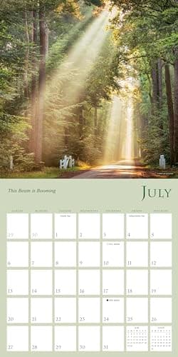 Enchanted Pathways 2025 Wall Calendar — The Photography of Lars van de Goor, 12" x 12" - Image 4