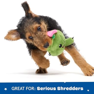 Barkbox 2 in 1 Interactive Plush Dog Toy - Rip and Reveal Toy for Dogs and Puppies - Stimulating Squeaky Pet Toys | Consuela Cactus (Small) - Image 5