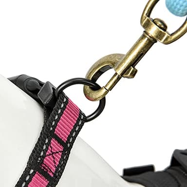 Mile High Life Dog Collar | Nylon Reflective Dog Collars | Light Weight Puppy Collars | Pink Dog Collars for Large Dogs (Pink, Large) - Image 6