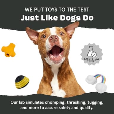 Barkbox Super Chewer Tough Dog Chew Toys for Aggressive Chewers, Dental Stimulating (Turkey - Small) - Image 7