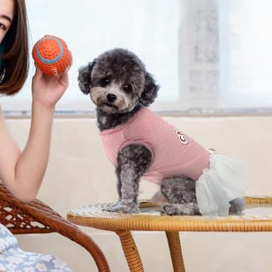 LyssKMK Cherry Pattern Dog Dress Puppy Sleeveless Shirt Tutu Skirt Dog Summer Dress with Bowknot Pet Summer Costume Outfits for Small Medium Dogs (Cherry Red) XL - Image 4