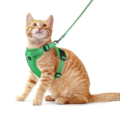 Rttochfy Cat Harness and Leash Set, Adjustable and Reflective Cat Vest, Escape Proof Kitten Harness, Easy to Put on with 3 Buckles for Cats Walking and Traveling (Green, M) - Image 1