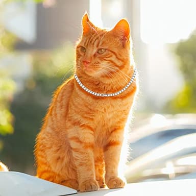 Dog Collar Cuban Diamond Dog Chain 4 mm Width Pet Cuban Chain for for Small Medium Large Dogs - Image 3