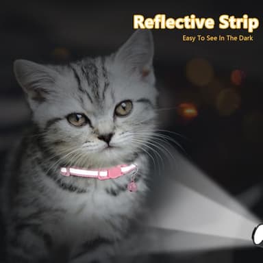 Taglory Kitten Collar Breakaway with Bell, 2 Pack Girl Boy Pet Kitten Collar Adjustable 6-8 Inch for 2-6 Months Cat, Pink - Image 3