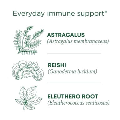 Traditional Medicinals Tea, Organic Stress Ease Immune with Adaptogens, Everyday Immune Support, Reishi Warming Spice, 96 Tea Bags - Image 3