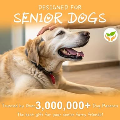 BEAUTYZOO Dog Socks to Prevent Licking Paws, Dog Shoes for Hot Pavement Small Medium Large Senior Dog Booties, Non Slip Dog Boots & Paw Protectors for Hardwood Floors Traction Control Indoor - Image 9