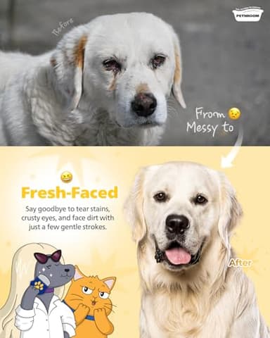 [PETHROOM] Professional Eye Comb for Pets | Stainless Steel Tear Stain Remover for Cats & Dogs | Gentle Round-Head Grooming Tool | Compact & Portable for Eye Gunk Removal - Image 3