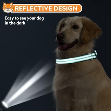 PWOD Reflective Dog Collar, Adjustable Soft Neoprene Padded Nylon Pet Collars with Buckle for Medium Dogs, Teal,M - Image 6