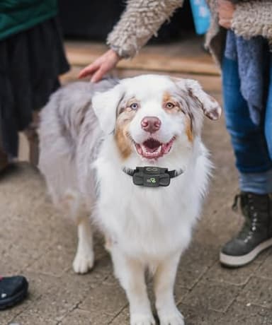 DOG CARE Dog Training Collar, Shock Collar with Beep, Vibration, Safe Static, Dog Training Collar with Remote 1800FT Waterproof Rechargeable E-Collar, Security Lock for All Dogs - Image 8