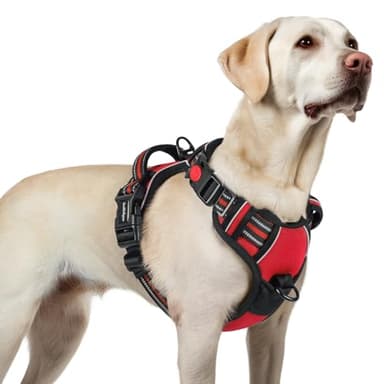 rabbitgoo Dog Harness for Large, No Pull Pet Harness with 3 Buckles, Adjustable Soft Padded Vest with Control Handle, Walking Reflective Pet Vest for Large Dogs, Red, L - Image 1