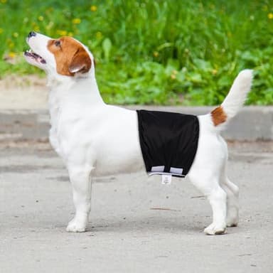 CuteBone Dog Diapers Male Washable Belly Band for Male Dogs Wraps Black 3pcs a Pack DM44S - Image 8