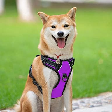 PoyPet No Pull Dog Harness, Reflective Comfortable Vest Harness with Front & Back 2 Leash Attachments and Easy Control Handle Adjustable Soft Padded Pet Vest for Small to Large Dogs (Purple,M) - Image 2