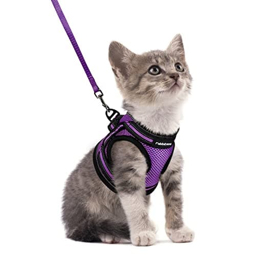 rabbitgoo Cat Harness and Leash Set for Walking Escape Proof, Adjustable Soft Kittens Vest with Reflective Strip for Cats, Comfortable Outdoor Vest, Purple, S - Image 1