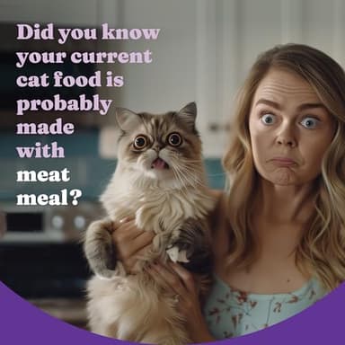 Halo Holistic Kitten Food, Wild Caught Salmon & Whitefish Recipe, Grain Free Dry Cat Food, Complete Digestive Health, 6 lb Bag - Image 3