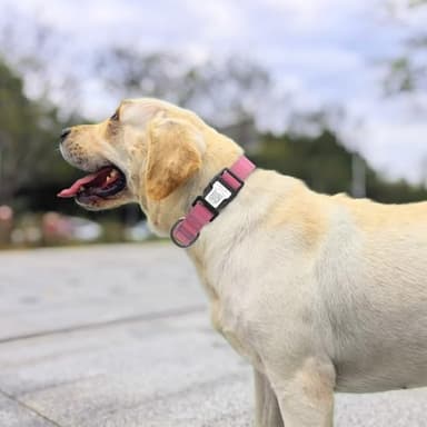 Dog Collar with QR Code, Reflective Pet Collar, Soft Neoprene Padded & Safety Locking Buckle Adjustable Dog Collar for Small Dogs(Pink,S) - Image 5