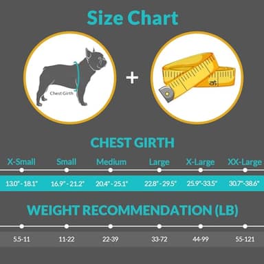 Queenmore Dog Life Vest, Adjustable Ripstop Dog Life Jacket for Swimming Boating, Doggy Lifesaver with Superior Buoyancy and Rescue Handle, Pet Swimming Vest for Small Dogs（Orange,S） - Image 2