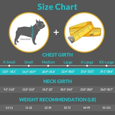 Queenmore Dog Life Jacket High Flotation, Reflective Dog Life Vest for Swimming, Adjustable Dogs Life Preserver Rescue Handle Spring Summer Pool for Small, Medium, Large Dogs (Ocean Blue,L) - Image 2