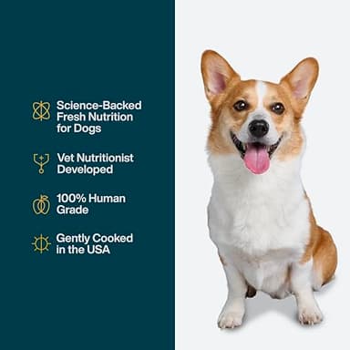 JustFoodForDogs Pantry Fresh Wet Dog Food, Complete Meal or Topper, Chicken & White Rice Human Grade Recipe - 12.5 oz (Pack of 6) - Image 4