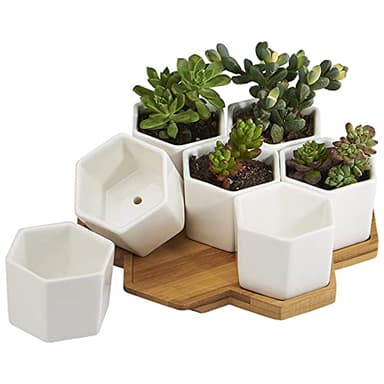 FLOWERPLUS Planter Pots Indoor, 7 Pack 2.75 Inch Modern White Ceramic Small Hex Succulent Cactus Flower Plant Pot with Bamboo Tray for Indoors Outdoor Office Home Garden Kitchen Decor (Hexagon) - Image 1