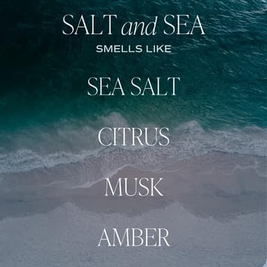 Sweet Water Decor Salt & Sea Reed Diffuser Set - Sea Salt Citrus & Musk Amber Scent Diffuser - Reed Diffusers for Home with Long Lasting Fragrance - Non-Toxic Oil Reed Diffuser - Made in The USA - Image 2
