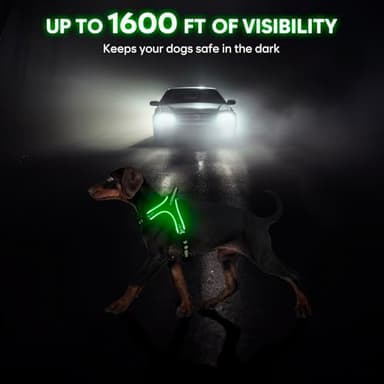 Light Up Dog Harness Rechargeable No Pull Rainproof Dog Vest with Handle for Night Walking, Lighted Dog Harness for Small Medium Large Dogs (Green, M) - Image 2