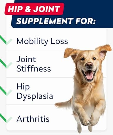 STRELLALAB Hip & Joint Glucosamine Supplement Treats for Dogs - Chondroitin, Omega-3, MSM - Advanced Joint Health Support Chews for Large Breed - Pain Relief - Bacon Flavor - 120 Ct - Made in USA - Image 3