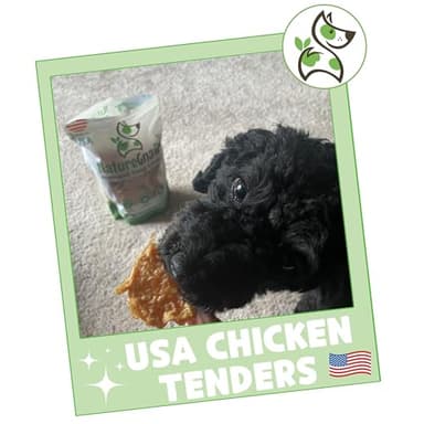 Nature Gnaws USA Chicken Tenders (1Lb) - Delicious Grain-Free Dog Treats for Small, Medium & Large Breeds - Natural Jerky Chews for Dogs. - Image 7