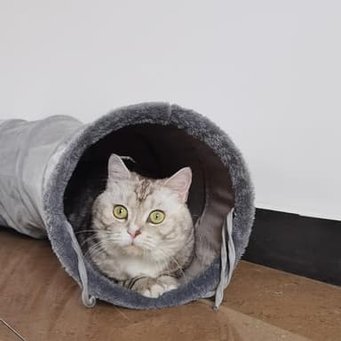 Cat Tunnel S-Shape Suede Cat Toy Tunnel 10.5 x 48.8 Inches Bunny Tunnels for Indoor, Collapsible Pets Play Tube Suitable for Cats Rabbits Pet Ferrets - Image 5