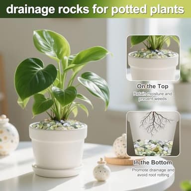 Calofulston 15 lb Small Pebbles for Indoor Plants, 3/8 Inch Decorative Rocks for Lucky Bamboo Plants Pot, Succulent, Vase, Cactus, Landscaping, Polished Jade Rocks for Plants Indoor, Green - Image 3