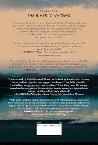 The River Is Waiting (Oprah's Book Club): A Novel - Image 2