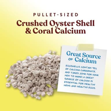 Manna Pro Crushed Oyster Shell for Chickens – Calcium Supplement for Laying Hens to Support Strong Eggshells – Natural Poultry Mineral Feed for Backyard Chickens – 5 lb Bag - Image 4