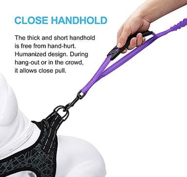 LEADSOM 6FT Highly Reflective Heavy Duty Elastic Bungee Medium and Large Dog Leash Shock Absorbing with Comfortable Padded Handle and Traffic Handle Suitable for Training - Image 4