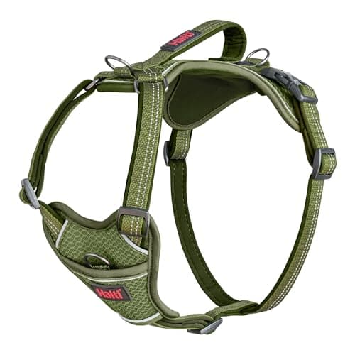 HALTI Anatomy Dog Harness with Handle - Provides Your Dog Freedom of Movement for Comfortable Walking. 3 Leash Attachment Points, Neoprene Padded, Adjustable, and Reflective (Size X-Large, Green) - Image 1