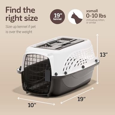 Petmate Dog Crates for Small Dogs & Cat Carriers, Two-Door Plastic Pet Kennel, Top & Front Loading, Made in USA, 19", White - Image 2