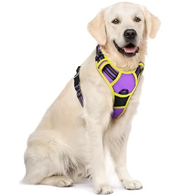 rabbitgoo Dog Harness No Pull with 2 Leash Clips, Adjustable Soft Padded, Reflective Oxford No Choke Pet Vest with Easy Control Handle for Large Dogs, Purple & Yellow, XL - Image 1