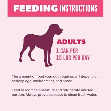 YOUR PET'S KITCHEN Wet Dog Food, Beef Recipe - 13.2 oz Cans (Pack of 6), Made in The USA with Real Beef - Image 7