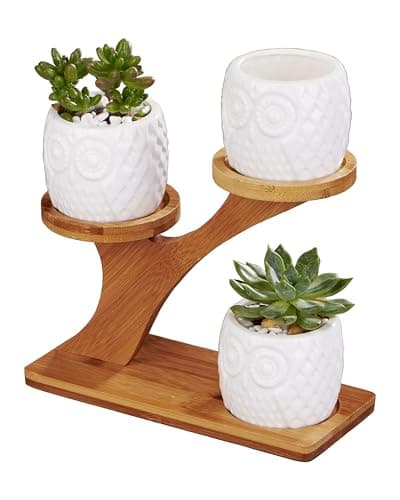 FLOWERPLUS Planter Pots Indoor, 3 Pack 3 Inch White Ceramic Decorative Small Owl Succulent Cactus Flower Plant Pot with Tree Tier Bamboo Stand for Garden Kitchen Home Office Desk Decorations - Image 1