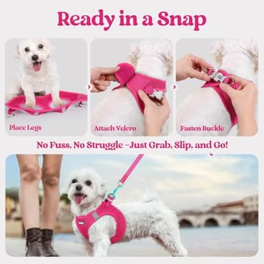 rabbitgoo Dog Harness Small Sized and Leash Set, Step in Soft Light Puppy Vest, Breathable Mesh Pet Harness, Reflective for Safe Easy Walking, Rose Red M - Image 8