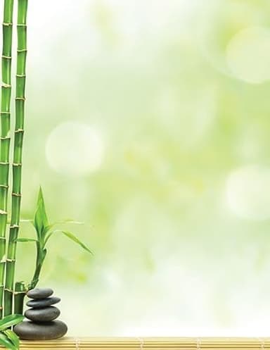 Great Papers! Serenity and Bamboo Letterhead for Invitations, Announcements and Personal Messages, Printer Friendly 8.5" x 11", 50 Pack (2023063) - Image 2