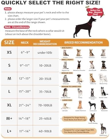 MD-102-Grey-L+-20250920 - Image 6