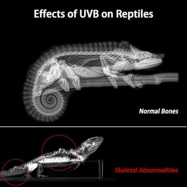 REPTITRIP 16-INCH LED UVB Light for Reptiles, LED Reptile Light Fixture Controller with Dimming and 4 UVI Modes, 14W Aluminum UVA UVB Lamp for Turtles, Snakes, and Bearded Dragons, 6500K - Image 8